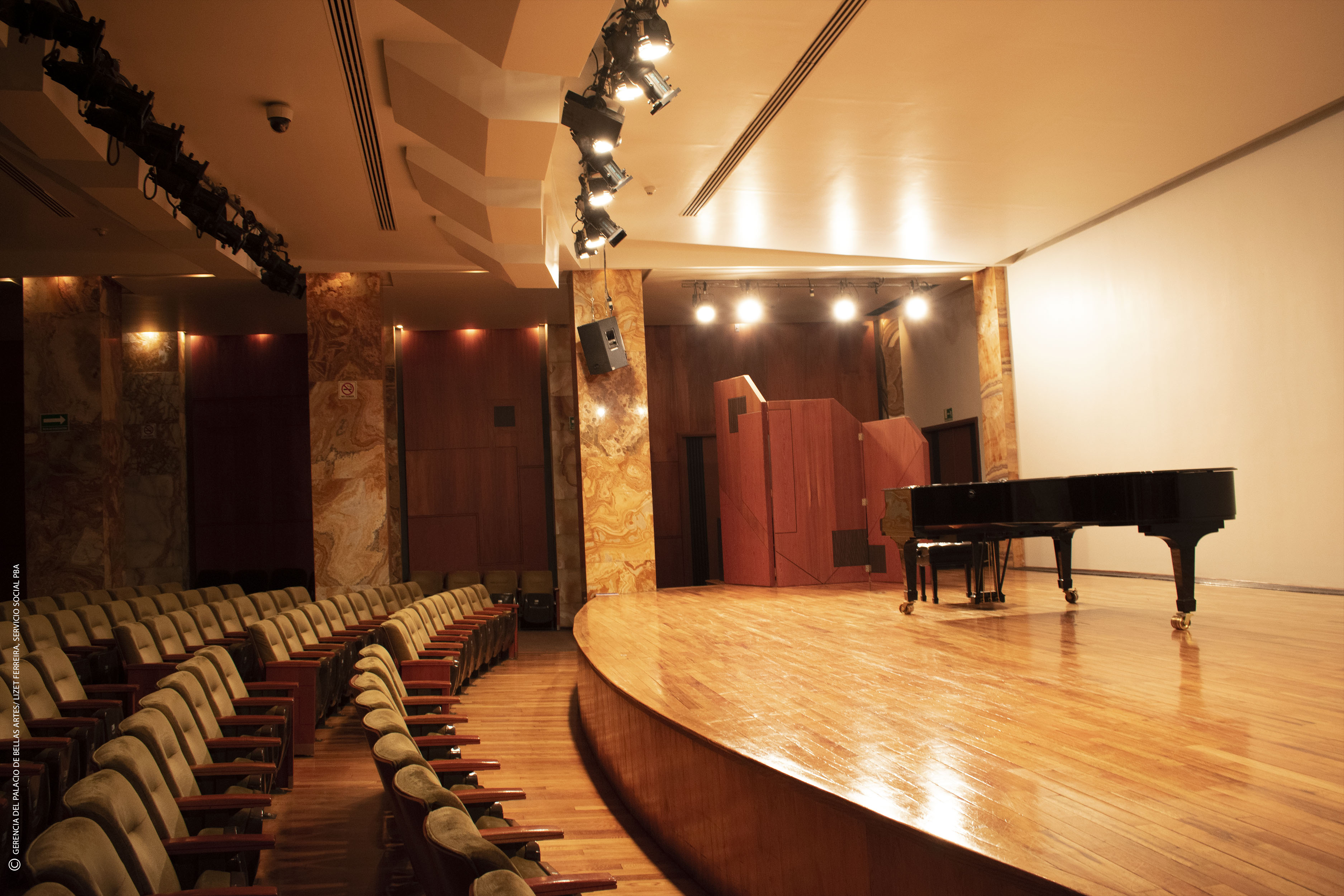 La actividad se presenta en: Palacio de Bellas Artes - Sala Manuel M ...